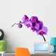 Orchid Wall Decal