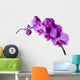 Orchid Wall Decal