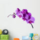 Orchid Wall Decal
