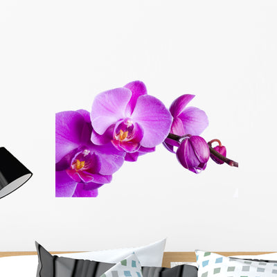 Purple Orchid White Wall Decal shown on a wall