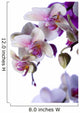 White Orchids Wall Decal