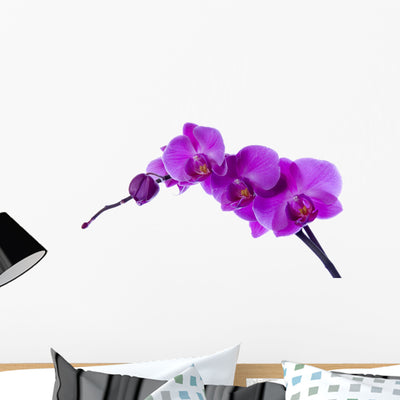 Purple Orchid Wall Decal shown on a wall