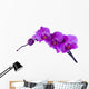 Purple Orchid Wall Decal