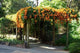Botanic Gardens M5 Wall Decal