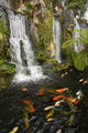 Koi Fish Pond Waterfalls - Vertical Wall Decal