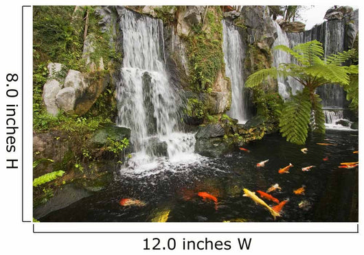 Koi Fish Pond Waterfalls - Horizontal Wall Decal