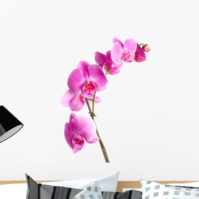 Pink Flowers Orchid White Wall Decal shown on a wall