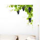 Collage Vine Leaves And Grapes Wall Decal