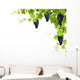Collage Vine Leaves And Grapes Wall Decal