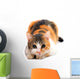 Domestic Cat Felis Catus Wall Decal