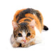 Domestic Cat Felis Catus Wall Decal
