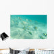 Under Water Wall Decal