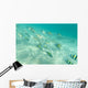 Under Water Wall Decal