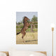 Wild Foal Wall Decal