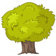 Bushy Green Tree Illustration Wall Decal