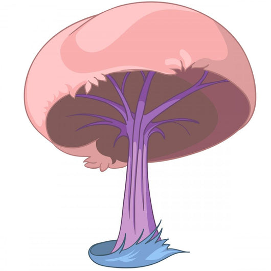 Pink Cap Tree Illustration Wall Decal