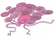 Cartoon Pink Alga Wall Decal