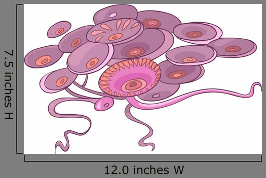 Cartoon Pink Alga Wall Decal