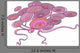 Cartoon Pink Alga Wall Decal