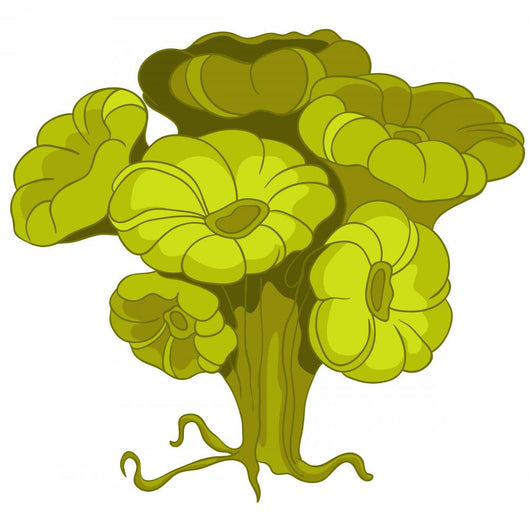 Cartoon Green Flower Alga Wall Decal