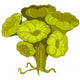 Cartoon Green Flower Alga Wall Decal