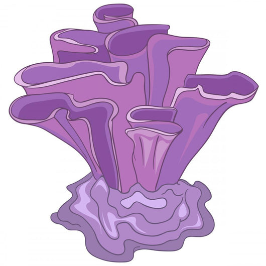 Cartoon Purple Ridge Alga Wall Decal