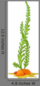 Green Alga Wall Decal