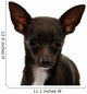 Chihuahua Face Up Wall Decal