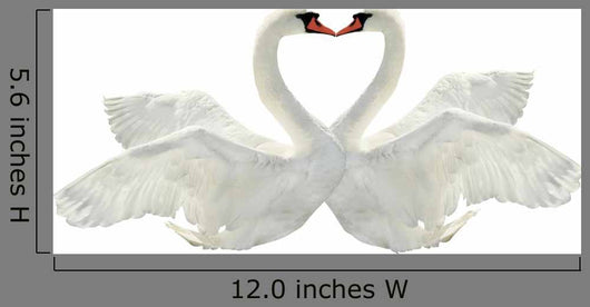 Two Swans Wall Decal