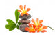 Zen Stones With Flowers Wall Decal