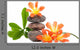 Zen Stones With Flowers Wall Decal