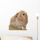Cute Little Bunny Wall Decal