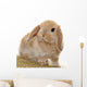 Cute Little Bunny Wall Decal