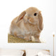 Cute Little Bunny Wall Decal