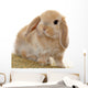 Cute Little Bunny Wall Decal
