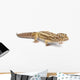 Albino Striped Leopard Gecko Wall Decal