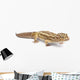 Albino Striped Leopard Gecko Wall Decal