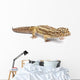 Albino Striped Leopard Gecko Wall Decal