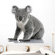 Young Koala Phascolarctos Cinereus Wall Decal