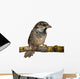 Male House Sparrow Passer Wall Decal