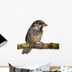 Male House Sparrow Passer Wall Decal