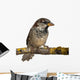 Male House Sparrow Passer Wall Decal