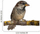 Male House Sparrow Passer Wall Decal