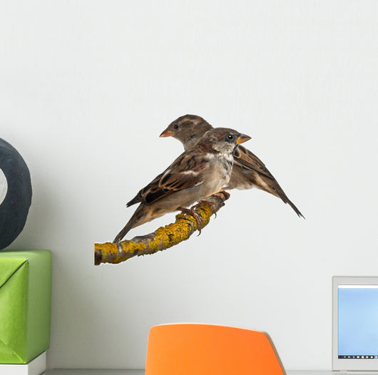Male And Female House Wall Decal