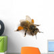 Western Honey Bee Wall Decal