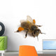 Western Honey Bee Wall Decal