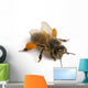 Western Honey Bee Wall Decal