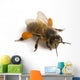 Western Honey Bee Wall Decal
