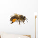 Western Honey Bee Right Side Wall Decal