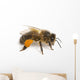 Western Honey Bee Right Side Wall Decal